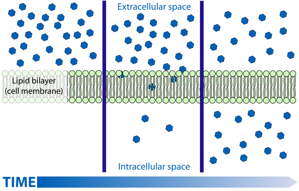 Transport, figure 1