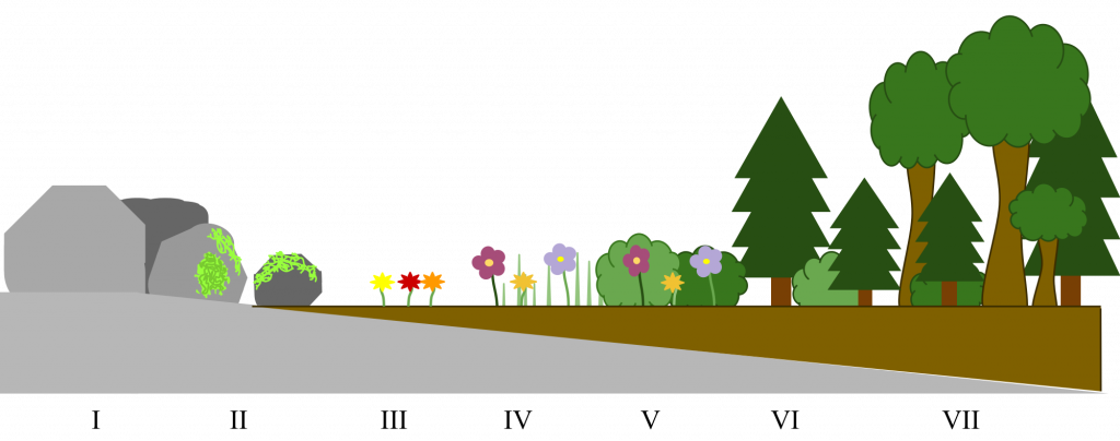 Populations in Ecosystems, figure 1