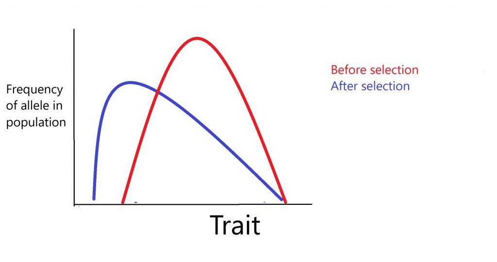 Genetic Diversity and Adaptations, figure 2