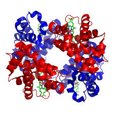 Protein Structure, figure 2