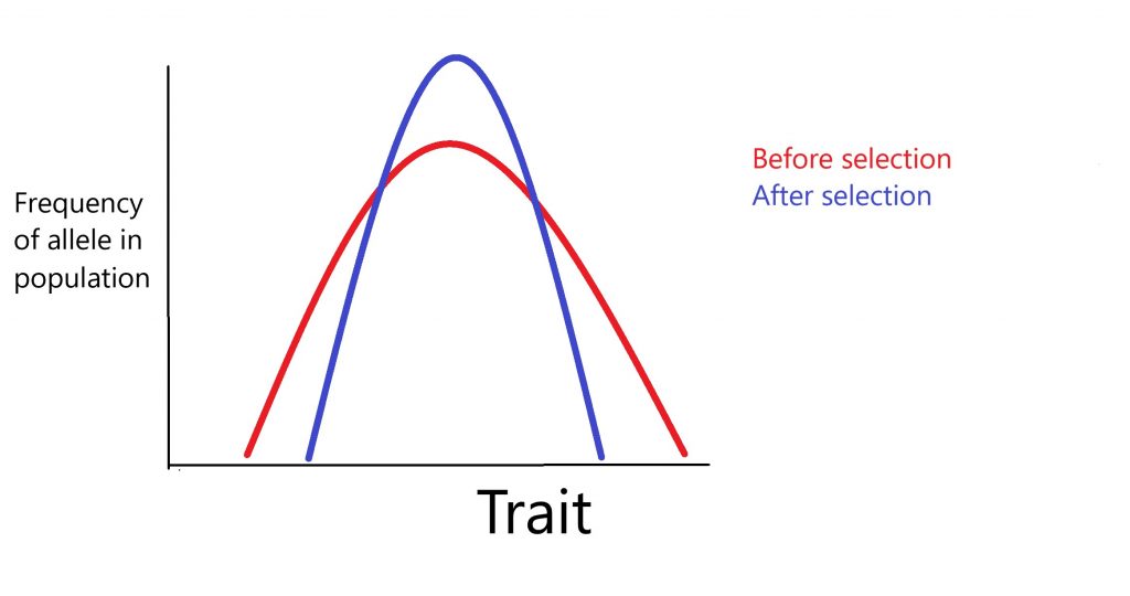 Genetic Diversity and Adaptations, figure 1