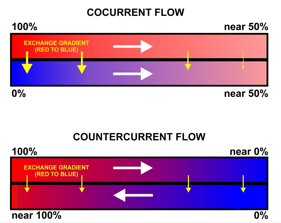 Exchange Surfaces, figure 3