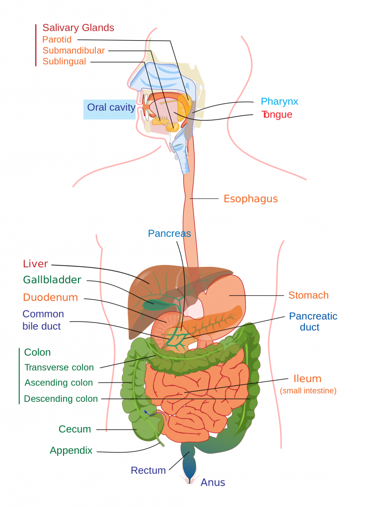 Exchange Surfaces, figure 1