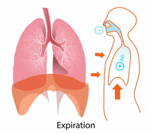 Exchange Surfaces, figure 3