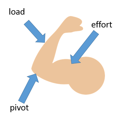 Turning Forces and Pressure, figure 5