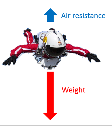 Newton's Laws of Motion, figure 1