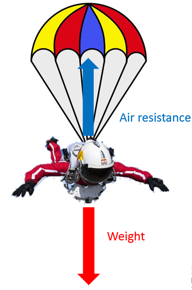 Newton's Laws of Motion, figure 5