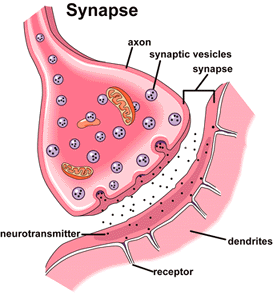 OCD, figure 1